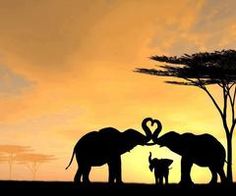 two elephants standing next to each other in front of a heart shaped tree at sunset