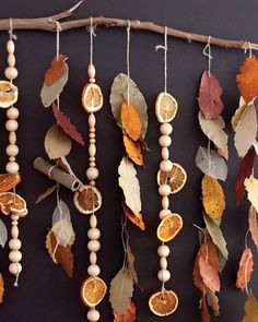 an assortment of oranges and leaves hanging from a branch with beads on the strings