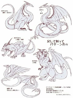 some drawings of different types of dragon