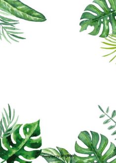 watercolor painting of green tropical leaves on white background with space in the center for text