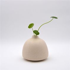 a small white vase with a plant in it's center on a white surface