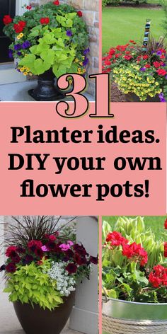 4 planters with bright colored flowers. Text overlay says 31 planter ideas. DIY your own flower pots. Ideas For Planters, Flower Pot Ideas, Backyard Entertainment, Front Porch Steps, Indoor Flower Pots, Container Gardening Flowers, Planting Plan, Pot Ideas