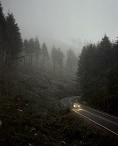 a car driving on a foggy road in the woods