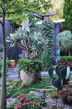 an outdoor garden with various plants and trees in it, including cacti and succulents