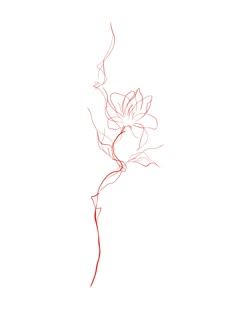 a red line drawing of a flower on a white background