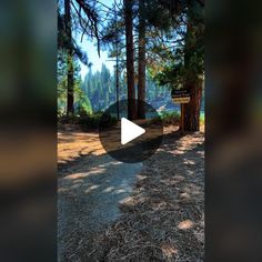 an image of a video playing in the woods with trees and water behind it that is blurry