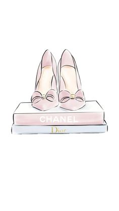 a pair of pink shoes sitting on top of a book with the word chanel