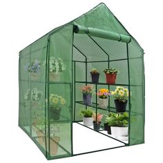 a green house with several plants growing inside