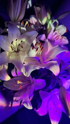 purple and white flowers are lit up in the dark