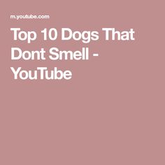 the words top 10 dogs that don't smell - youtubee are in white