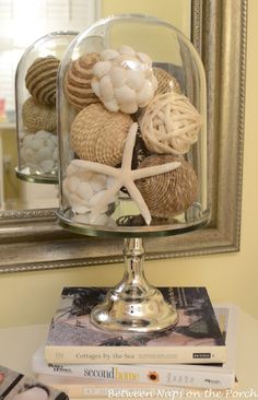 a glass clochet with sea shells in it sitting on a table next to a mirror