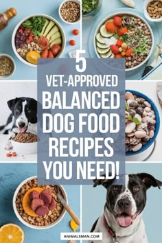 a collage of photos with the words vet - approved balanced dog food recipes you need