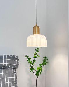 a potted plant sitting on top of a wooden table next to a lamp hanging from the ceiling