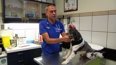 a vet is giving a dog a bath in the kitchen at his workbench