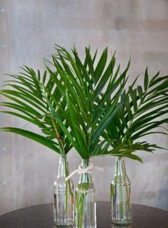 three bottles with plants in them sitting on a table