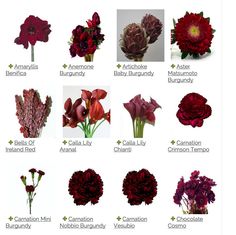 an image of flowers that are labeled in english