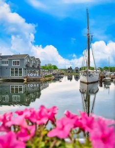 boats are docked in the water next to houses and pink flowers with blue sky behind them