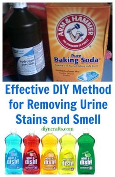 different types of cleaning products with the words effective diy method for removing urine stains and smell