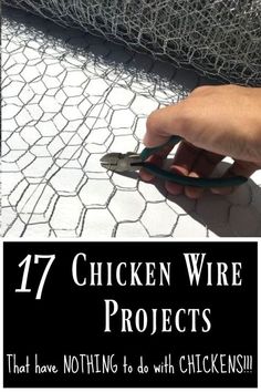 chicken wire projects that have nothing to do with chickens