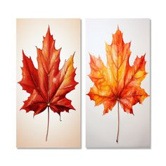 two red and yellow maple leaves are shown in this set of 2 art prints on canvases