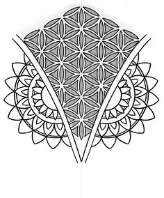 the flower of life is depicted in this black and white drawing, with two crossed lines