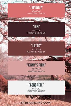 the color scheme for pink and brown is shown in this graphic style, which includes different shades