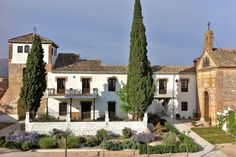 the house is surrounded by trees and plants