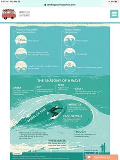 the anatomy of a wave is shown in this poster