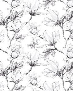 Magnolia Sketch Wallpaper - Olive et Oriel Magnolia Sketch, Teen Boys Bedroom, Sketch Wallpaper, Modern Wall Paint, Modern Wallpaper Designs, How To Hang Wallpaper, Latest Wallpapers, Diy Wallpaper, Wallpaper Trends