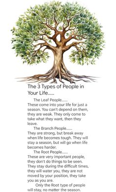 the three types of people in your life are shown with an image of a tree