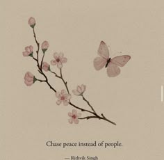 two butterflies flying over a branch with pink flowers on it and the words chase peace instead of people