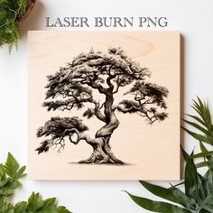 a wooden plaque with an image of a tree on it and the words laser burn png