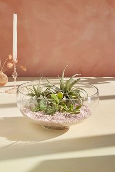 an air plant in a glass bowl on a table next to a candle and some candlesticks