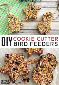 some bird feeders are made out of cookies and sprinkled with birdseed