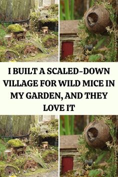 two pictures with words that say i built a scale - down village for wild mice in my garden, and they love it