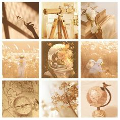 a collage of pictures with flowers and an old fashioned telescope in the middle one has a bird on it