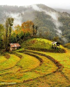 an old farm house on top of a grassy hill with fog in the air behind it