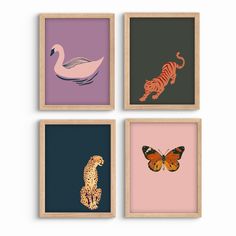 four framed pictures with different animals and birds on the same wall, one in pink, one in blue