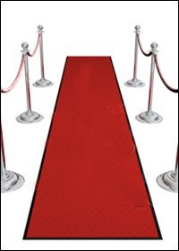 a red carpet with white poles and ropes