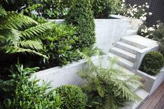 an outdoor garden with plants and stairs