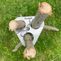 an aerial view of a tree that has been cut down and is being held by scissors