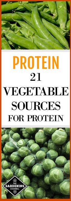 green beans with the words protein 21 vegetable source for protein written in orange and white