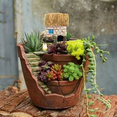 a potted planter with succulents, plants and a house in it