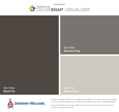 the colorsnap visualizer is shown in gray and white, with text that reads sw