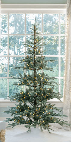 a small christmas tree in front of a window with white curtains and lights on it