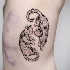 a man with a cat tattoo on his lower back and the upper half of his stomach