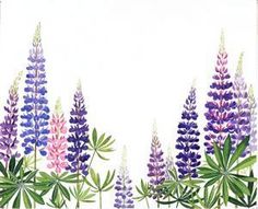 a painting of purple flowers on a white background