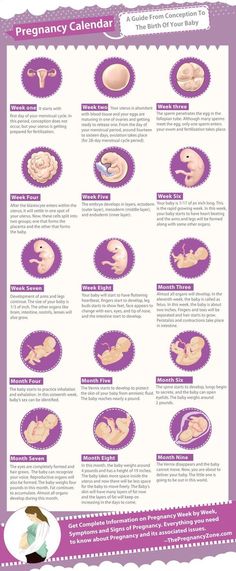 a poster with instructions on how to use the baby's breast