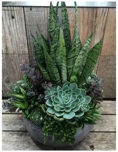 an arrangement of succulents and other plants in a bowl on a wooden table