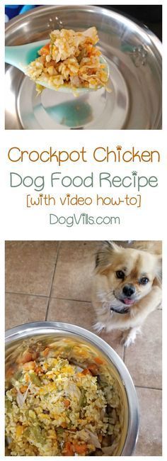 a dog is sitting in front of a bowl of food and the words, crockpot chicken dog food recipe with video how - to